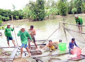 Cùng liên kết để phát triển bền vững