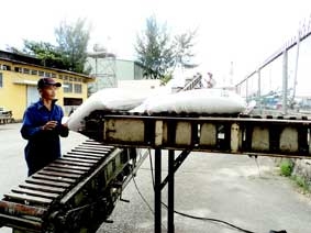 Xuất khẩu gạo đạt 3 triệu tấn