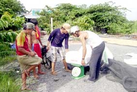 Cần chủ động giúp nông dân tiêu thụ lúa !