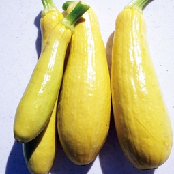 Thực phẩm bảo vệ da trước tác hại của ánh nắng