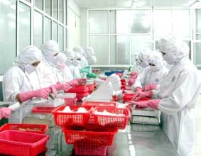 Tìm giải pháp gỡ khó cho nuôi tôm nước lợ