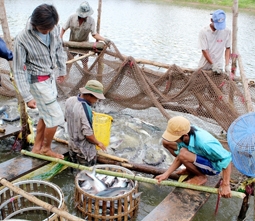 Liên kết bền vững...