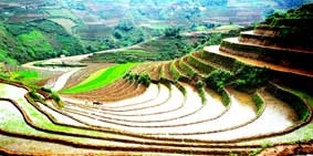 Lên Mù Cang Chải mùa nước đổ