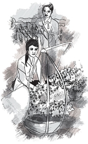 Hương của hoa hồng