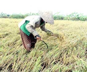 Thừa hay thiếu ?