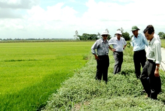 Để vụ hè thu và thu đông thắng lợi