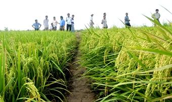 Vượt khó không phải dễ!