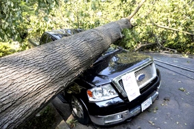 MỸ: Hàng triệu người bị mất điện, 
ít nhất 13 người bị thiệt mạng do giông bão