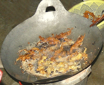 Còng biển
