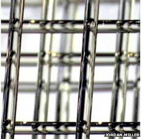 Triển vọng tái tạo cơ quan nhân tạo nhờ công nghệ in 3D