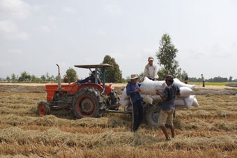 Vì sao nông dân còn thờ ơ với bảo hiểm nông nghiệp?