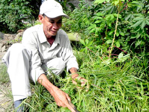 Người thương binh giàu nghị lực