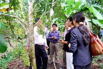 Đừng xem là chuyện nhỏ