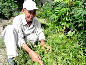 Người thương binh giàu nghị lực