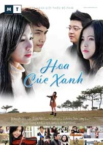 “Hoa cúc xanh”