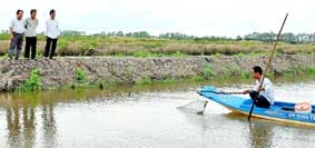 Tìm giải pháp cứu con tôm