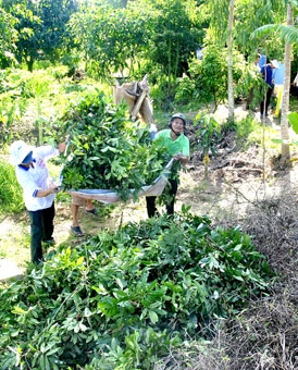 Không thể chần chờ