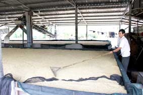 Lò sấy vắng khách