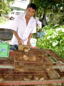Thịt chuột "lên đời" !