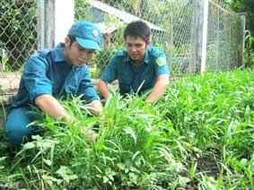 Hăng hái thi đua làm theo lời Bác