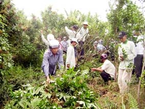 Cần thực hiện đồng loạt