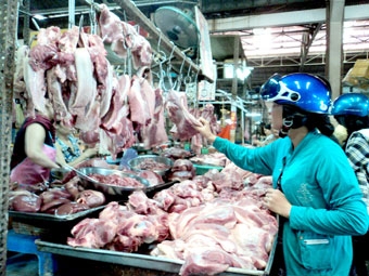 Quản lý từ gốc chất lượng sản phẩm nông lâm thủy sản