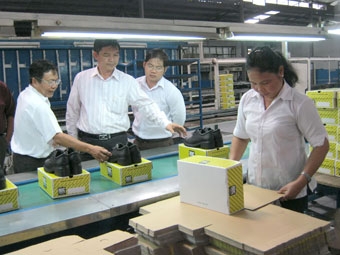 Nhiều giải pháp cụ thể hỗ trợ doanh nghiệp