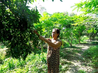 Cách làm hiệu quả