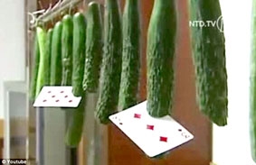 Phóng bài như trong phim