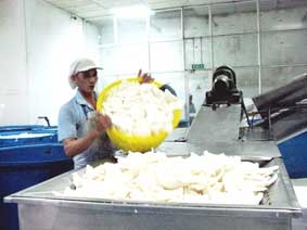 Giữ chữ tín trong sản xuất, kinh doanh