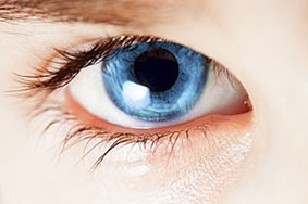 Hy vọng mới cho người khiếm thị