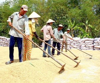 Sớm gỡ thế bí cho nông dân