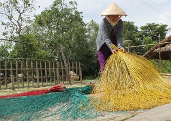 Tình chiếu Ngan Dừa