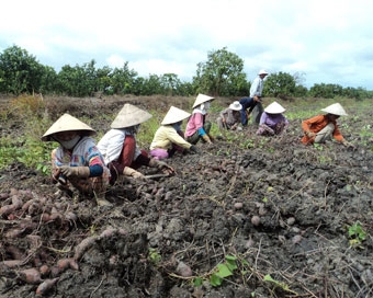 Cần giải pháp quyết liệt