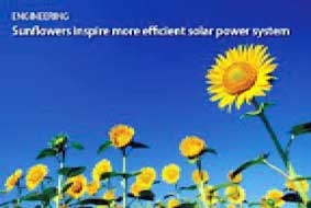 Hoa hướng dương  nguồn cảm hứng cho các hệ thống pin năng lượng Mặt trời mới