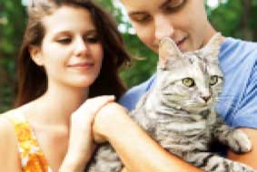 Ký sinh trùng trên mèo có thể gây tự tử ở người