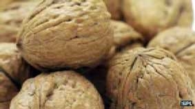 Quả óc chó giúp cải thiện chất lượng tinh trùng
