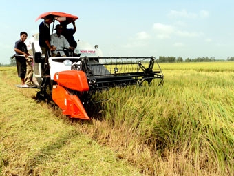 Xuất phát từ yêu cầu thực tiễn và hướng vào thị trường