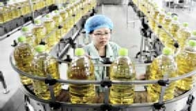 Tình trạng "khủng hoảng an toàn thực phẩm" ngày càng tồi tệ