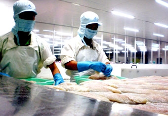 Nâng cao chuỗi giá trị cá tra từ sản xuất đến bàn ăn