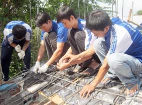 Tuổi trẻ Cần Thơ sôi nổi các hoạt động làm theo lời Bác