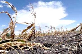 Năm 2013 có thể là năm của... khủng hoảng?