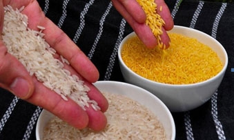 Trung Quốc điều tra vụ trẻ em bị cho ăn gạo biến đổi gien