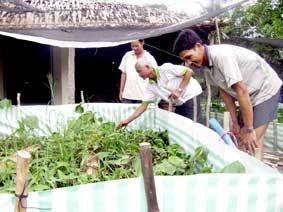 Nuôi lươn trong bồn nylon 
cho lợi nhuận cao