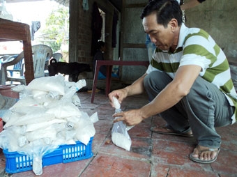 Hướng đến nền nông nghiệp bền vững