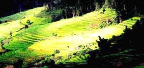 Ngẩn ngơ trước “Thiên đường ruộng bậc thang”