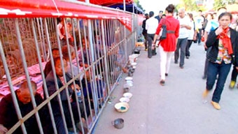 Nhốt người ăn xin trong lồng