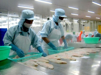 Định hướng bền vững 
cho xuất khẩu ĐBSCL