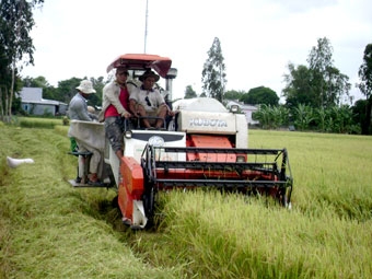 Nỗ lực vượt khó