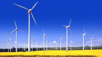 Tổng thống Mỹ ngăn chặn các dự án phong điện của Trung Quốc